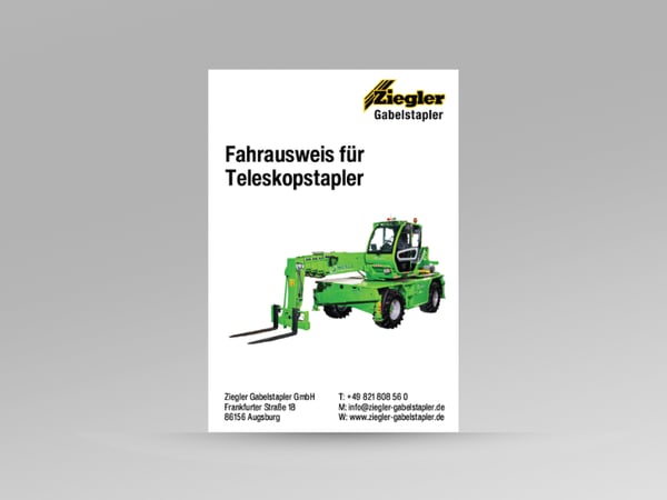 Mitgängerschein (1)