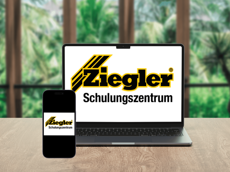 Online Unterweisung